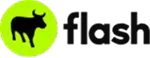 Flash Logo