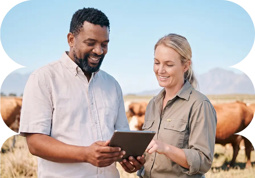 Two farmers using a tablet on a South African farm with evry by Herotel satellite internet